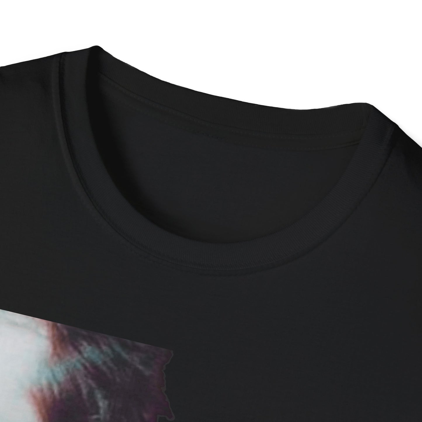 LOVERS Classic Fit AmplifyDestroy Print Tee Shirt Nancy Spungen Punk Rock Black