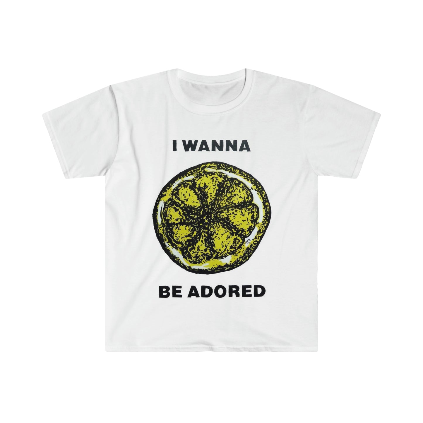 ADORED Classic Fit AmplifyDestroy Print Tee Shirt stone roses