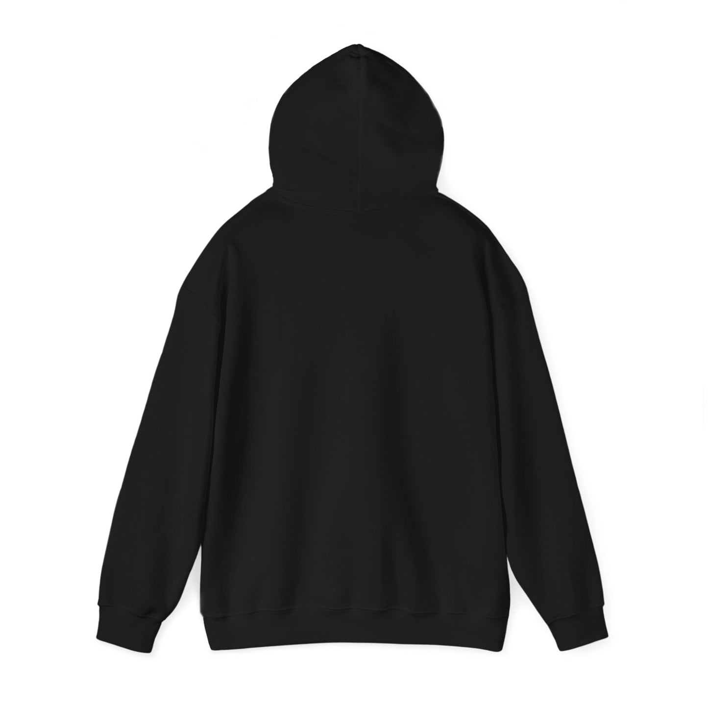 MPLFY Classic Fit AmplifyDestroy Print Hoodie